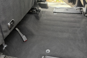 After Interior Dog Hair