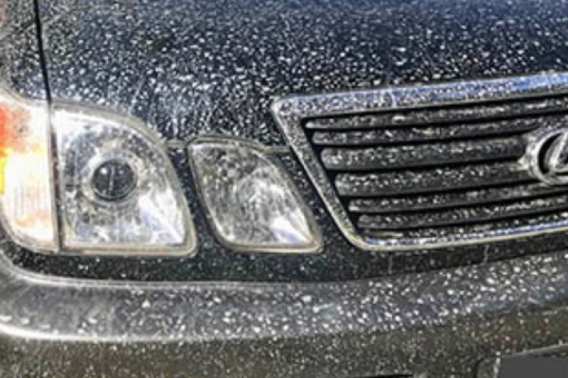 Before Exterior Lexus Detailing