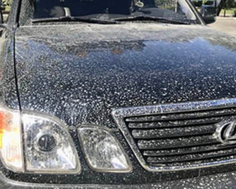 lexus after lexus after